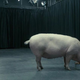 Image for article titled Why You Should Be Incredibly Excited To Get More Black Mirror